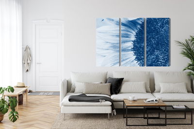 Ljuddämpande tavla - Blue sunflower on a macro