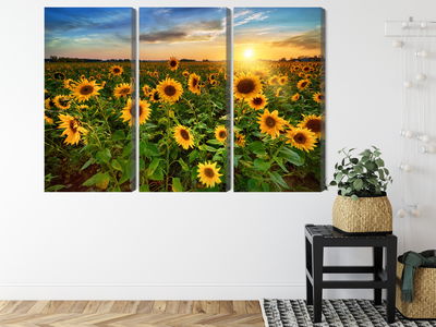 Ljuddämpande tavla - Sunflower field at sunset 3d