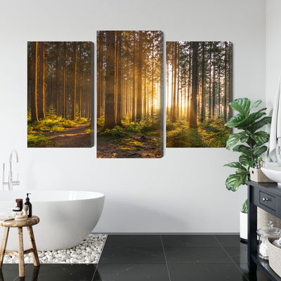Ljuddämpande tavla - Sunset in the forest