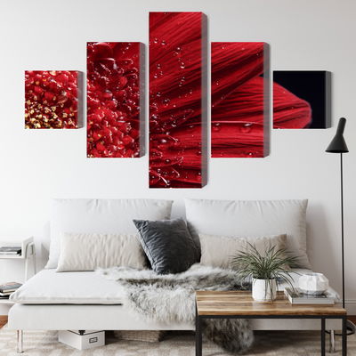 Ljuddämpande tavla - Flower petals on a macro