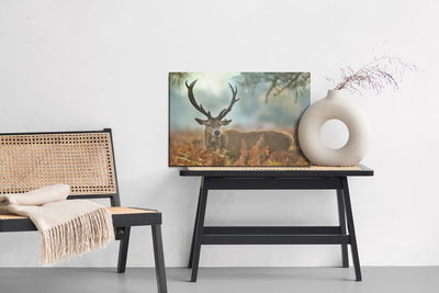 Ljuddämpande tavla - A magnificent stag