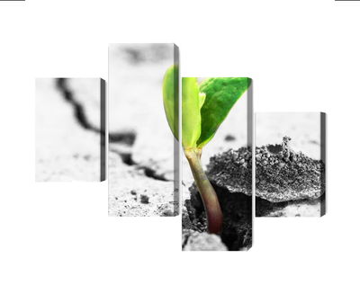 Ljuddämpande tavla - 3d plant sprouting