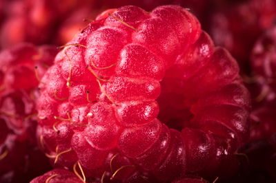 Ljuddämpande tavla - Raspberries on a macro scale