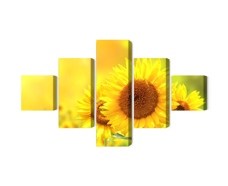 Ljuddämpande tavla - Blooming sunflowers 3d