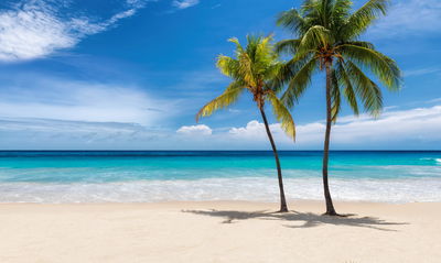 Ljuddämpande tavla - Caribbean beach 3d