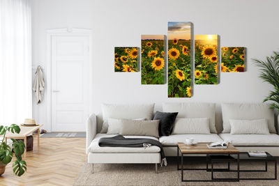 Ljuddämpande tavla - Sunflower field at sunset 3d