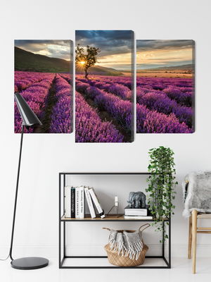 Ljuddämpande tavla - Lavender field at sunset 3d