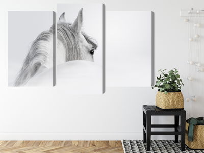 Ljuddämpande tavla - Andalusian horse in the fog