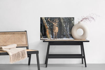 Ljuddämpande tavla - A deer among the trees