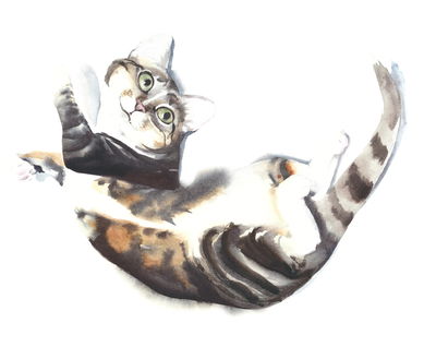 Ljuddämpande tavla - Cat painted with watercolor