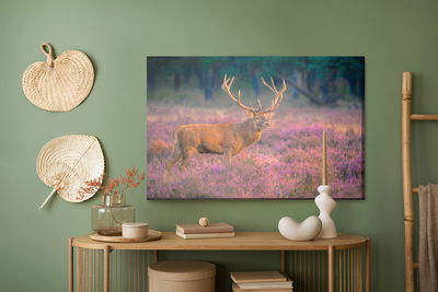 Ljuddämpande tavla - A deer in the rut