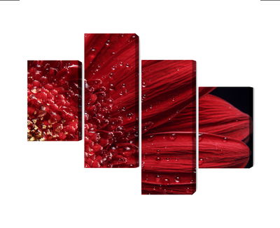 Ljuddämpande tavla - Flower petals on a macro