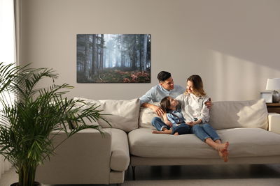 Ljuddämpande tavla - Forest in the fog