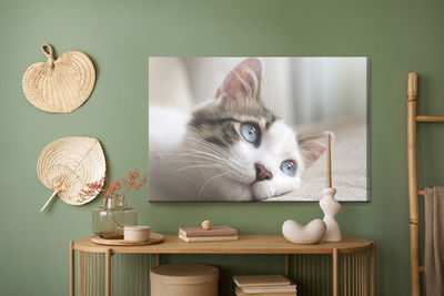 Ljuddämpande tavla - Dreamy kitten