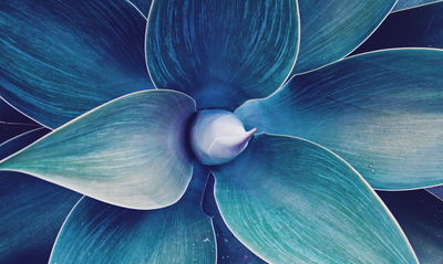 Ljuddämpande tavla - Top view of the plant