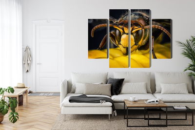 Ljuddämpande tavla - Wasp on a macro scale