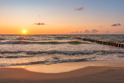 Ljuddämpande tavla - Low tide on the baltic sea