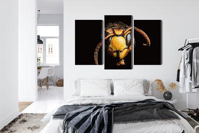 Ljuddämpande tavla - Hornet on a macro scale