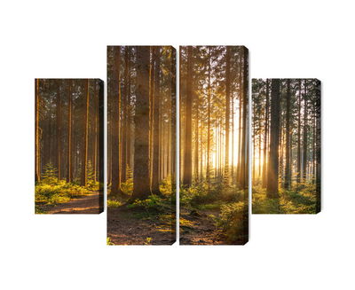 Ljuddämpande tavla - Sunset in the forest