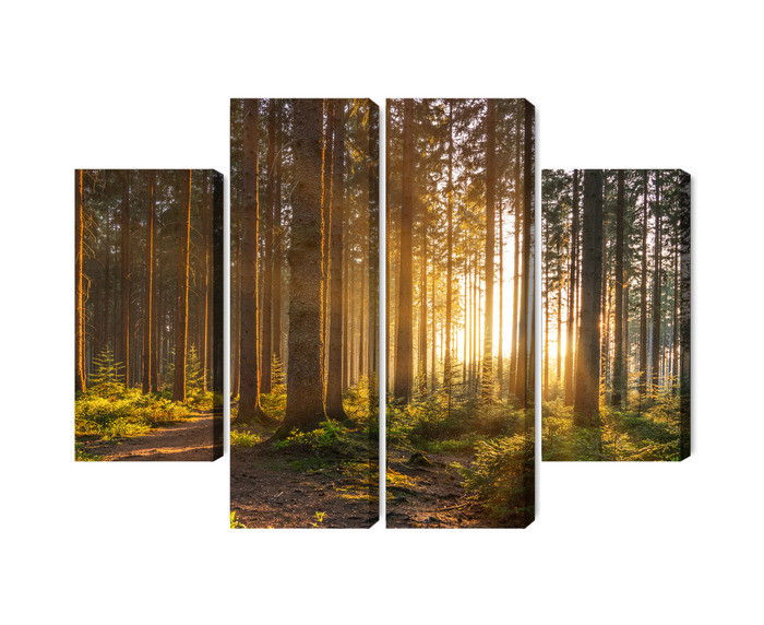 Ljuddämpande tavla - Sunset in the forest