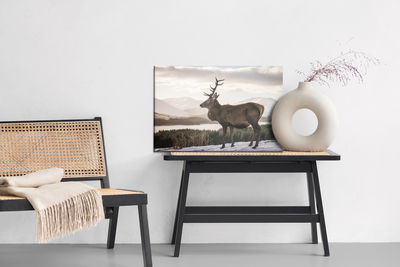 Ljuddämpande tavla - A deer against