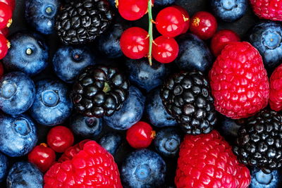 Ljuddämpande tavla - Forest fruits on a macro