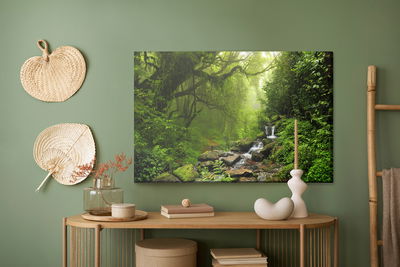Ljuddämpande tavla - Subtropical forest in Nepal