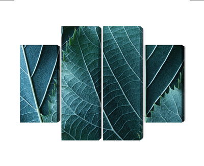 Ljuddämpande tavla - Leaves in a macro scale