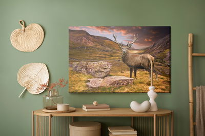 Ljuddämpande tavla - Deer in the mountains