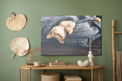 Ljuddämpande tavla - Sleeping ginger kitten