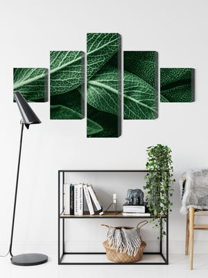 Ljuddämpande tavla - Salvia leaves on a macro