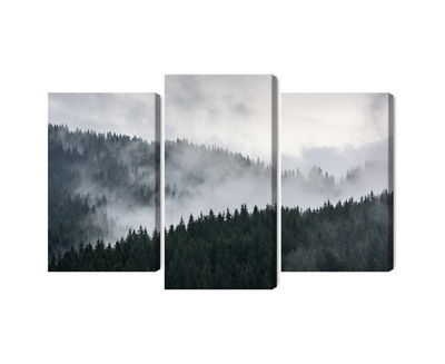 Ljuddämpande tavla - Misty 3d forest landscape