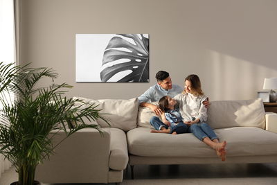 Ljuddämpande tavla - Monstera leaf in black