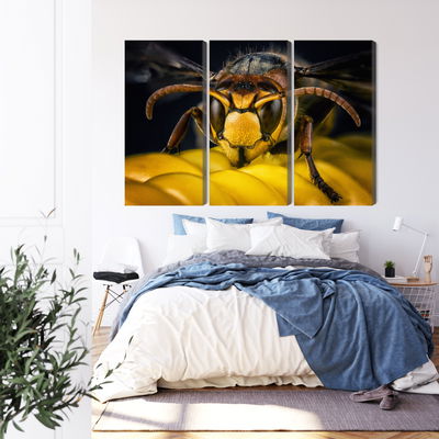 Ljuddämpande tavla - Wasp on a macro scale