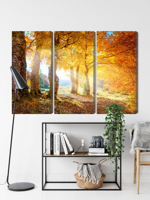 Ljuddämpande tavla - Sunny autumn forest