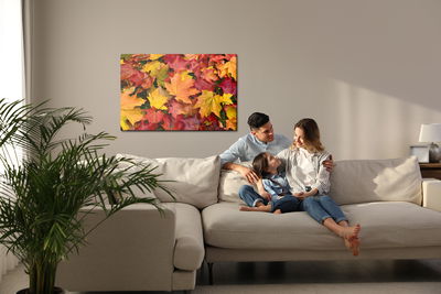 Ljuddämpande tavla - Maple leaves in fall colors