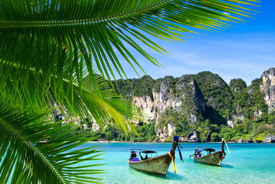 Ljuddämpande tavla - Sunny caribbean