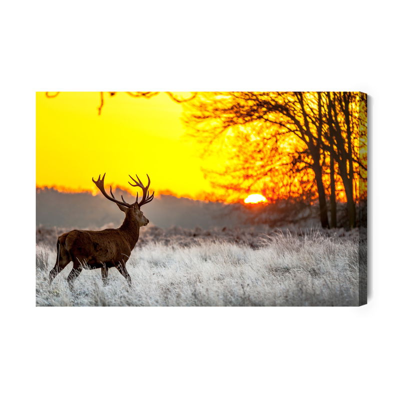 Ljuddämpande tavla - A deer on the background