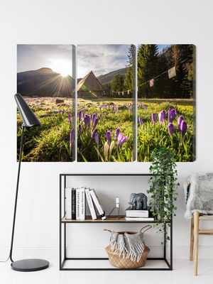 Ljuddämpande tavla - Chocholowska valley