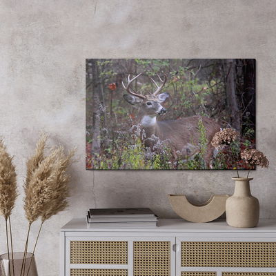 Ljuddämpande tavla - A deer among the forest