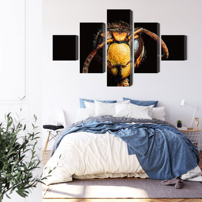 Ljuddämpande tavla - Hornet on a macro scale