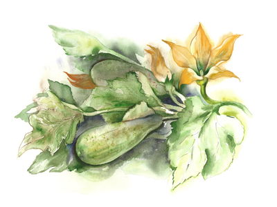 Ljuddämpande tavla - Zucchini with flowers painted
