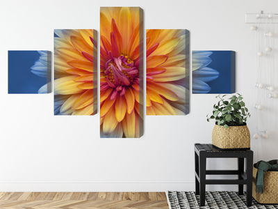 Ljuddämpande tavla - Chrysanthemum flower close