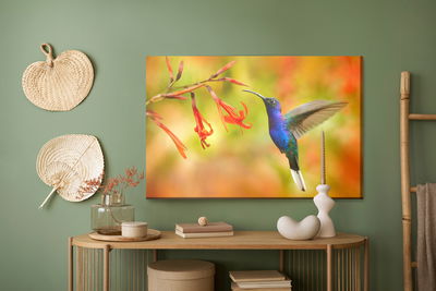 Ljuddämpande tavla - Hummingbird bird and flowers