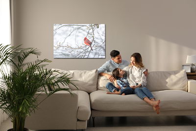 Ljuddämpande tavla - Red bird