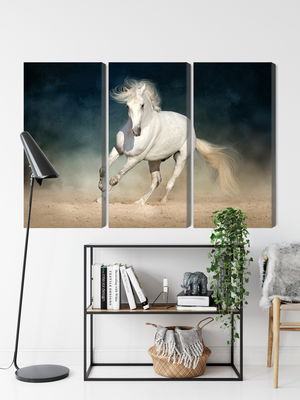 Ljuddämpande tavla - A white horse at a gallop