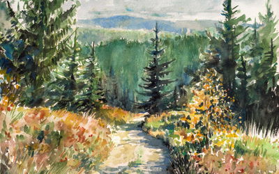 Ljuddämpande tavla - Forest landscape painted