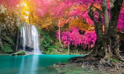 Ljuddämpande tavla - A beautiful forest waterfall