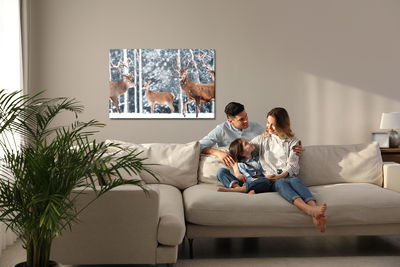 Ljuddämpande tavla - A herd of deer in the winter