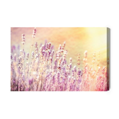 Ljuddämpande tavla - Lavender in the sun.